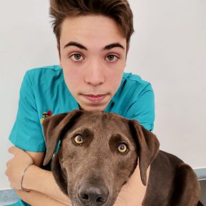 Tiermedizinischer Fachangestellter Dustin